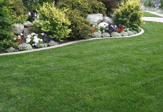 lawn well maintenance trimmed edges, garden and landscaped