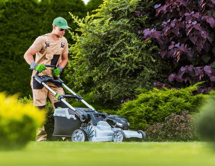 grass mowing service by professional using lawn mower