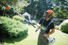 yard tree trimming by professional